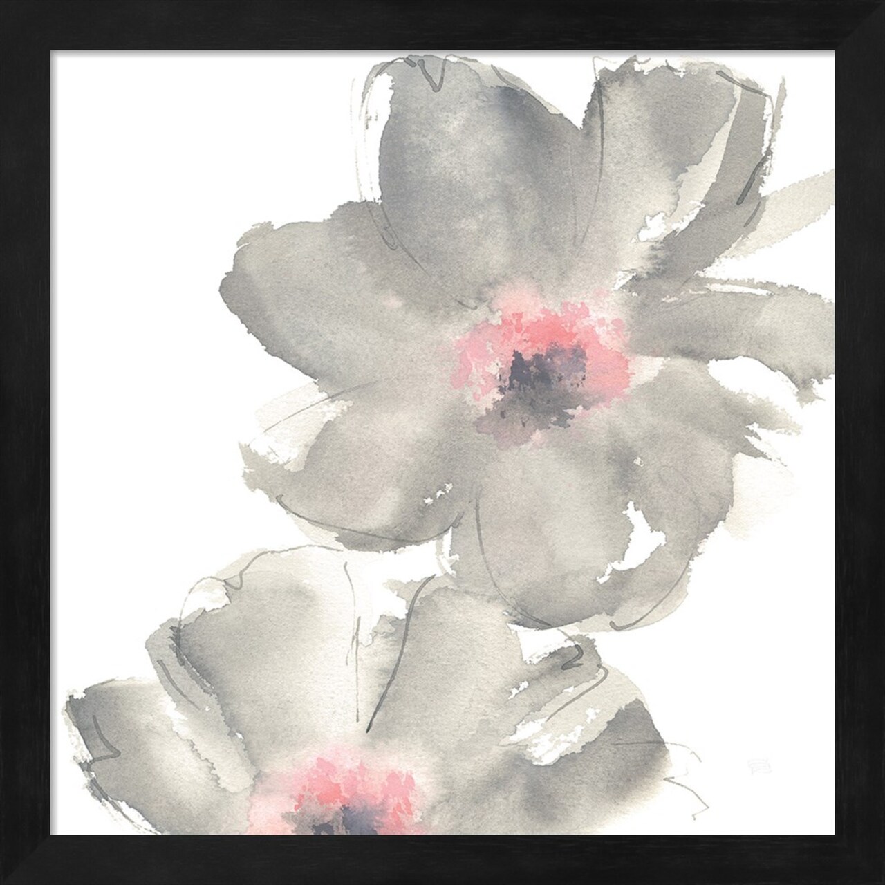 Gray Blush Cosmos II on White by Chris Paschke 13" x 13" Framed Wall Art